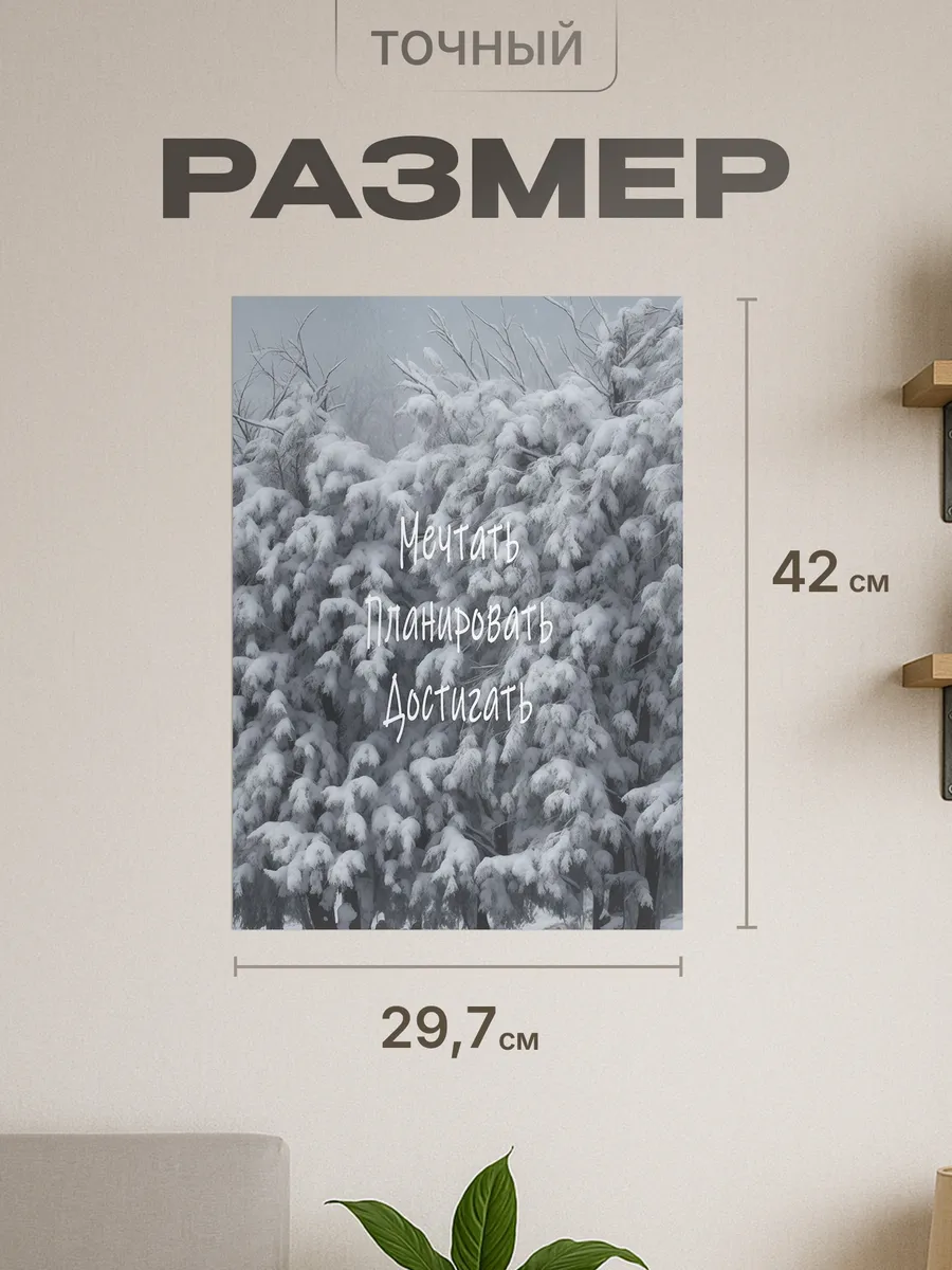 Изображение товара 2 из 4