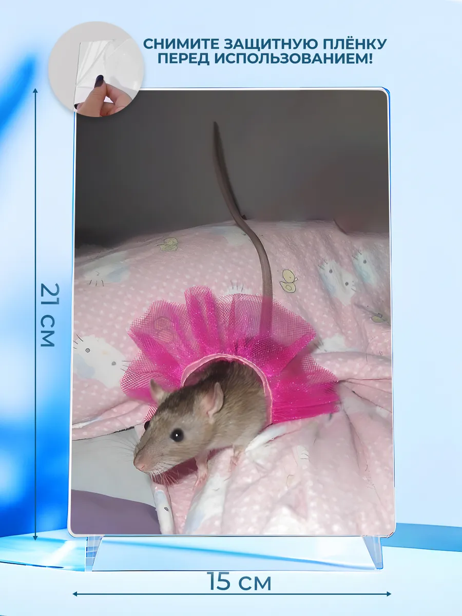 Изображение товара 2 из 4