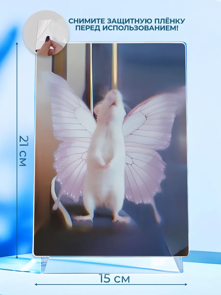 Изображение товара 2 из 4