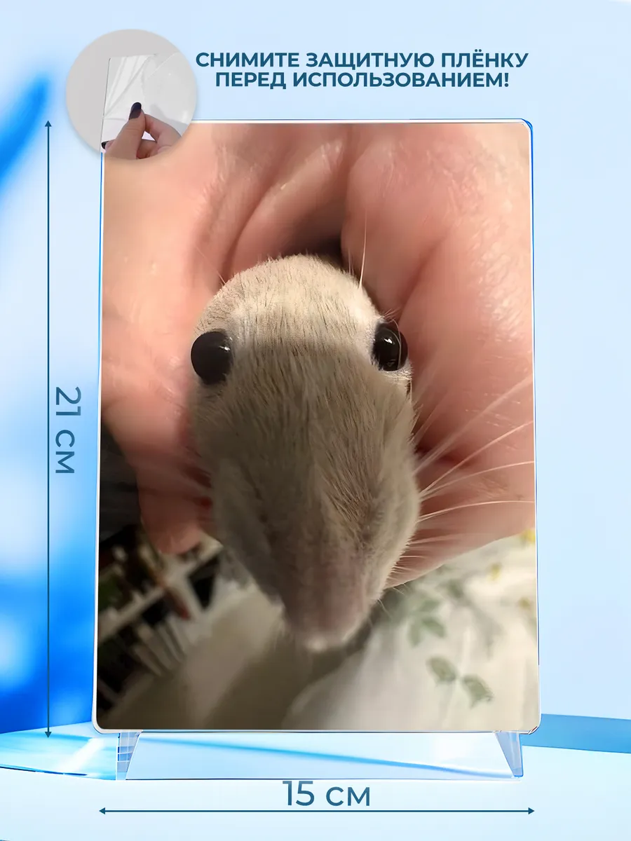 Изображение товара 2 из 4