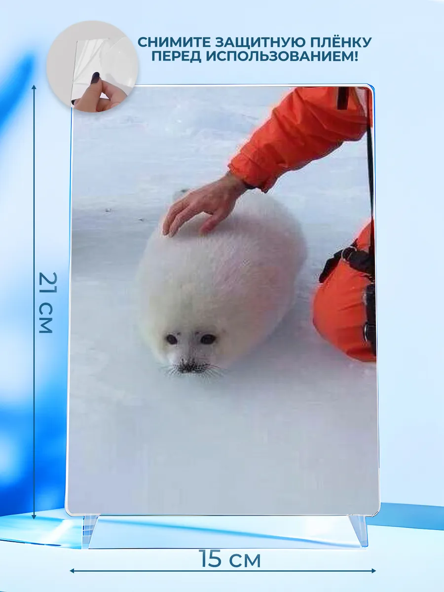 Изображение товара 2 из 4