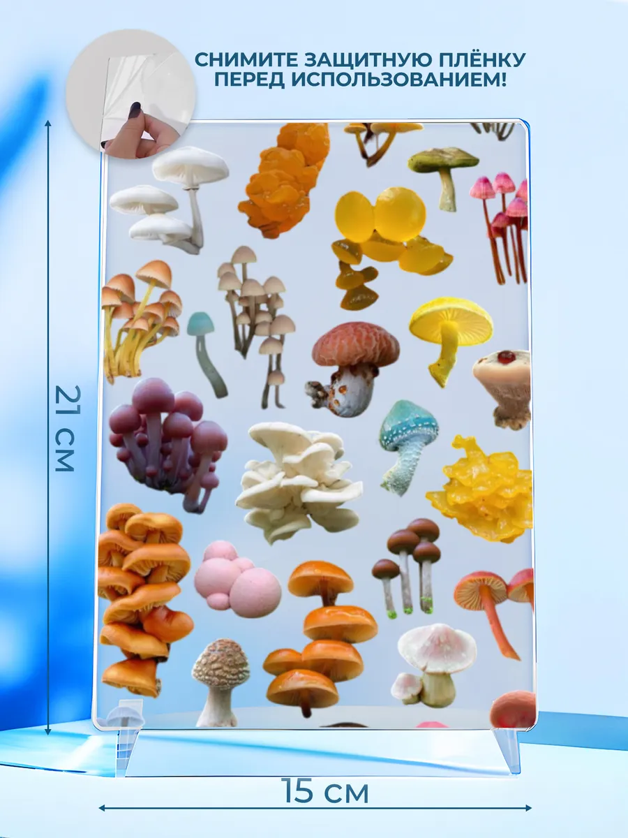 Изображение товара 2 из 4