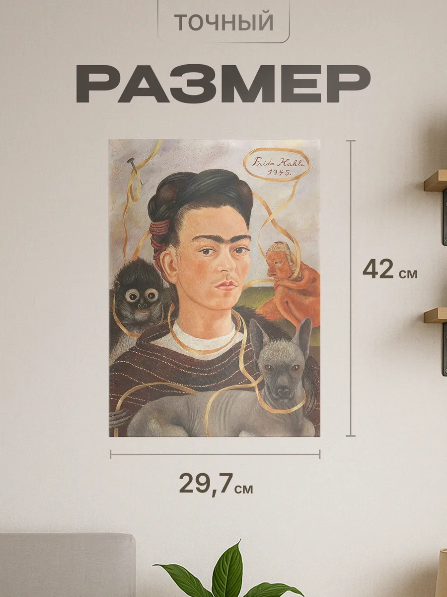 Изображение товара 2 из 4