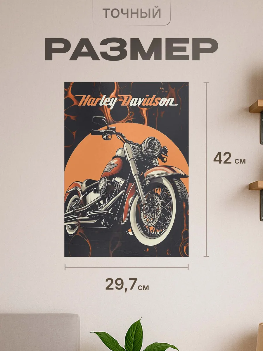 Изображение товара 2 из 4