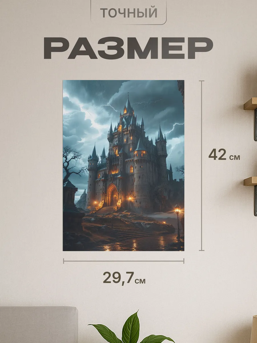 Изображение товара 2 из 4
