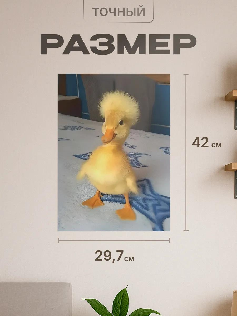 Изображение товара 2 из 4