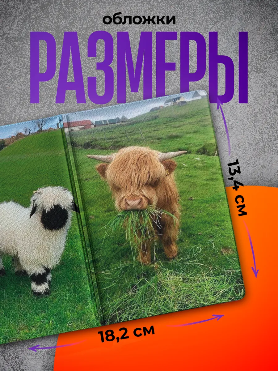 Изображение товара 2 из 4