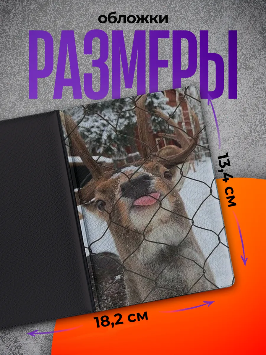 Изображение товара 2 из 4