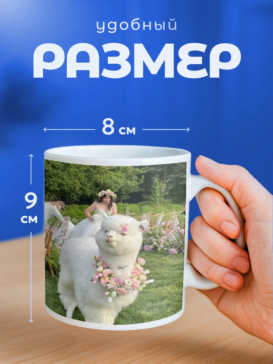 Изображение товара 2 из 6