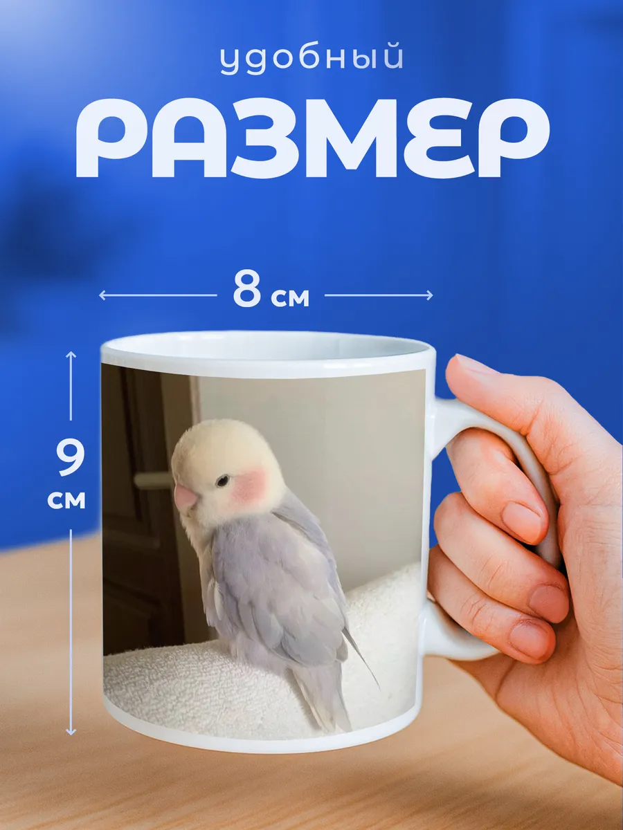 Изображение товара 2 из 6