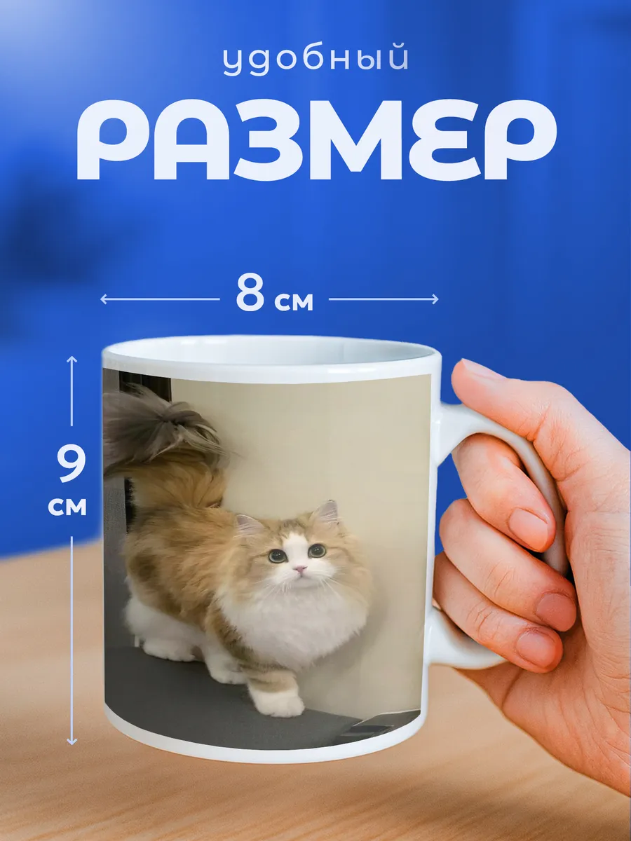 Изображение товара 2 из 6
