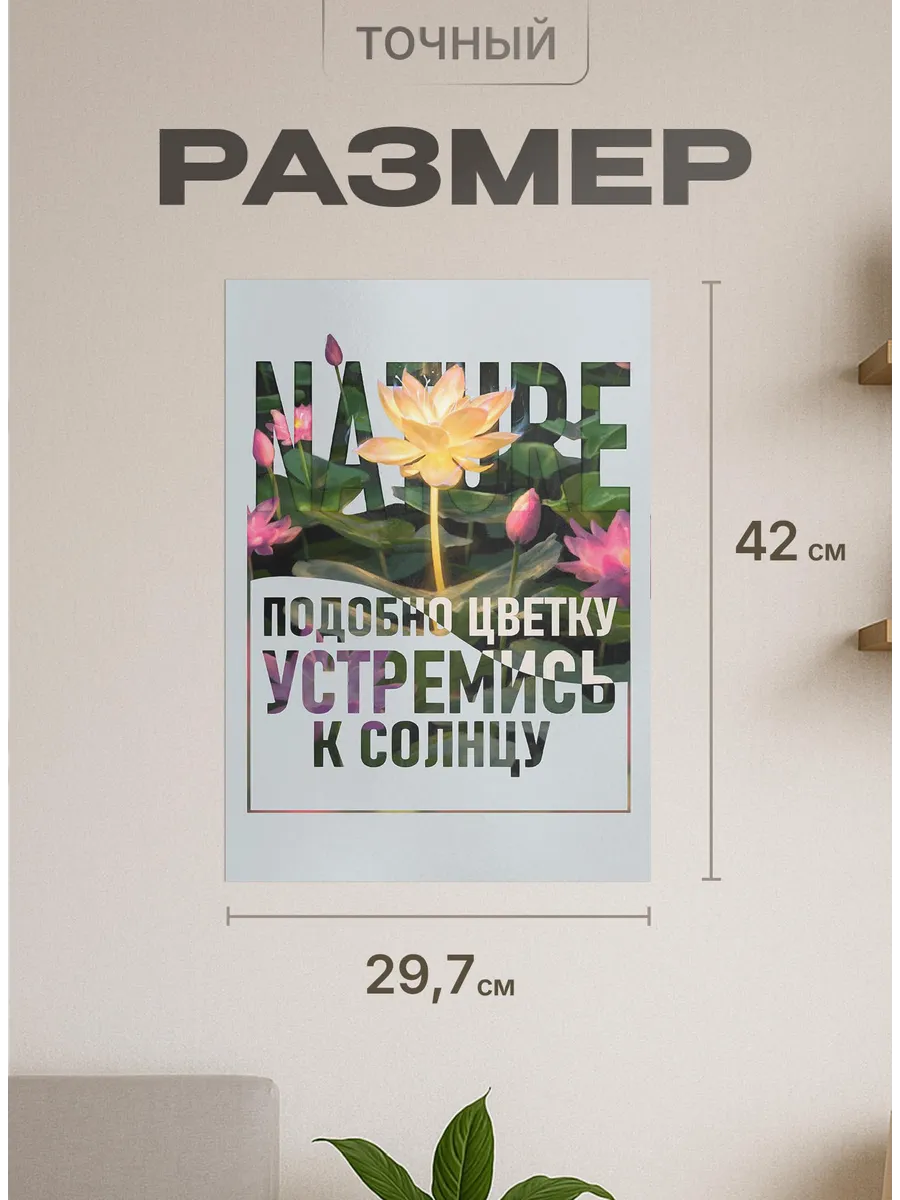 Изображение товара 2 из 4