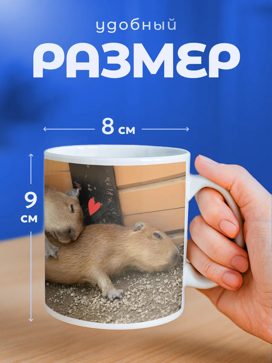 Изображение товара 2 из 6