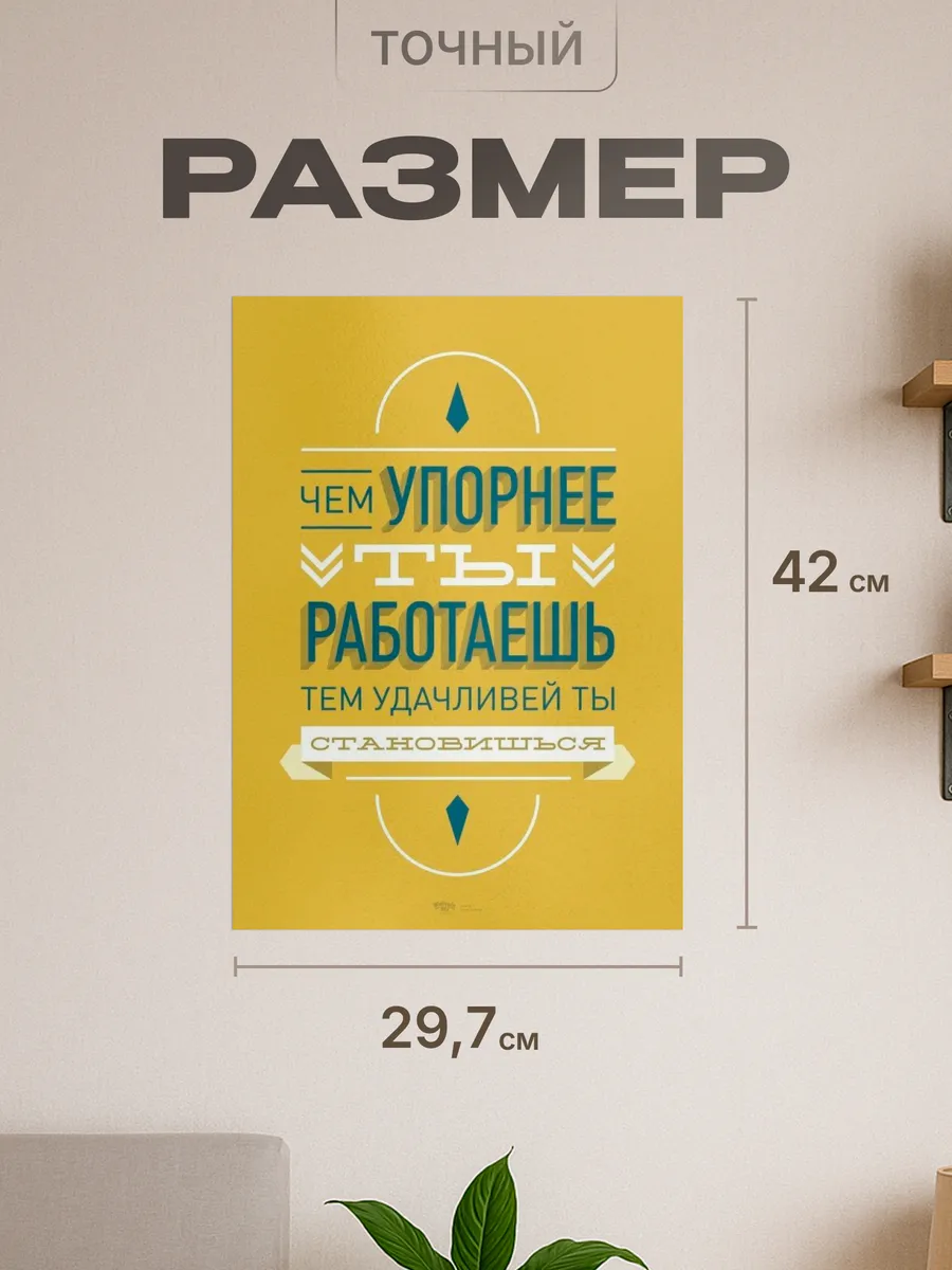Изображение товара 2 из 4