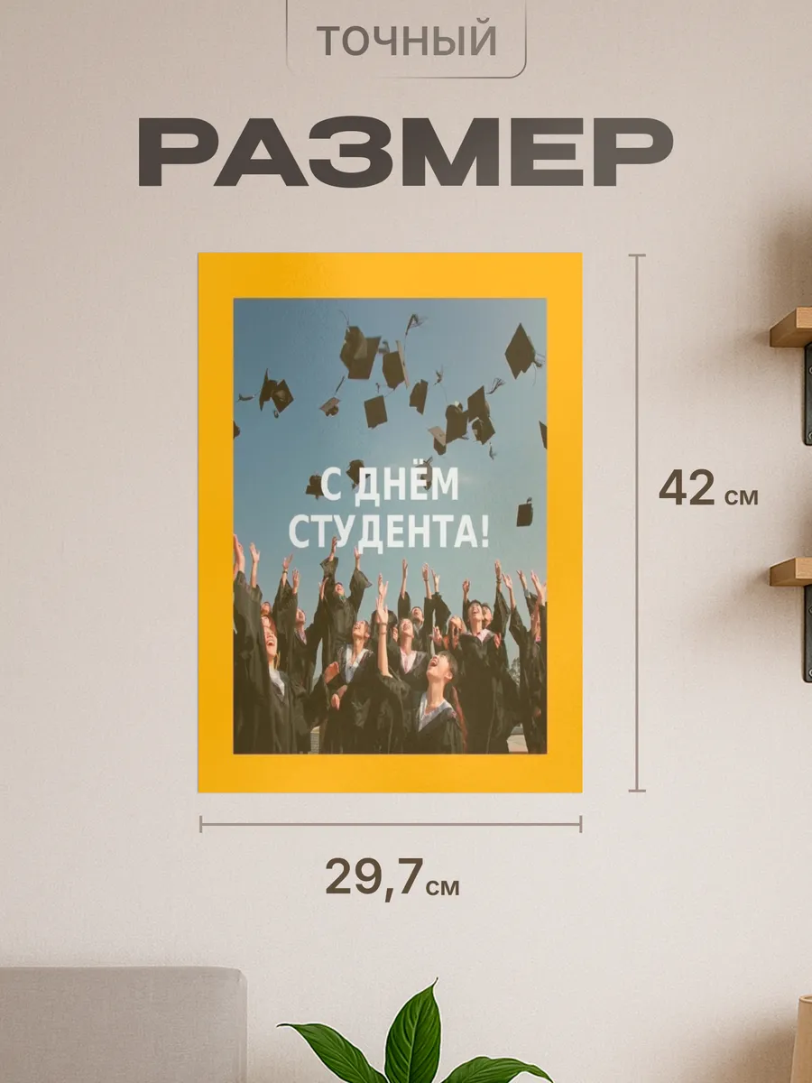 Изображение товара 2 из 4