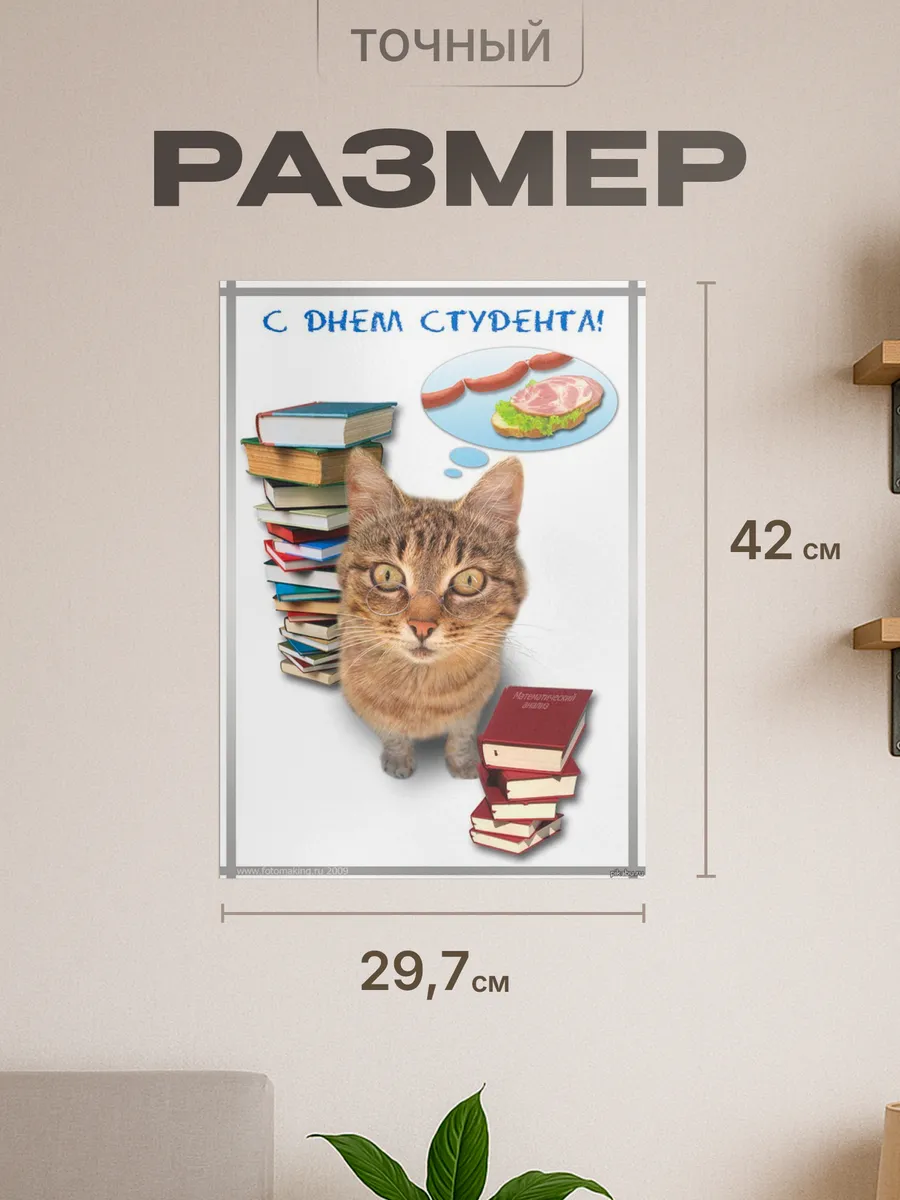 Изображение товара 2 из 4