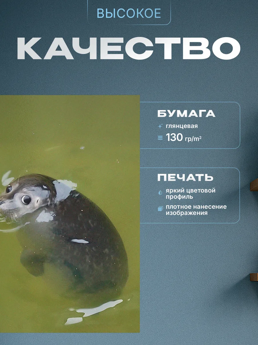 Изображение товара 3 из 4