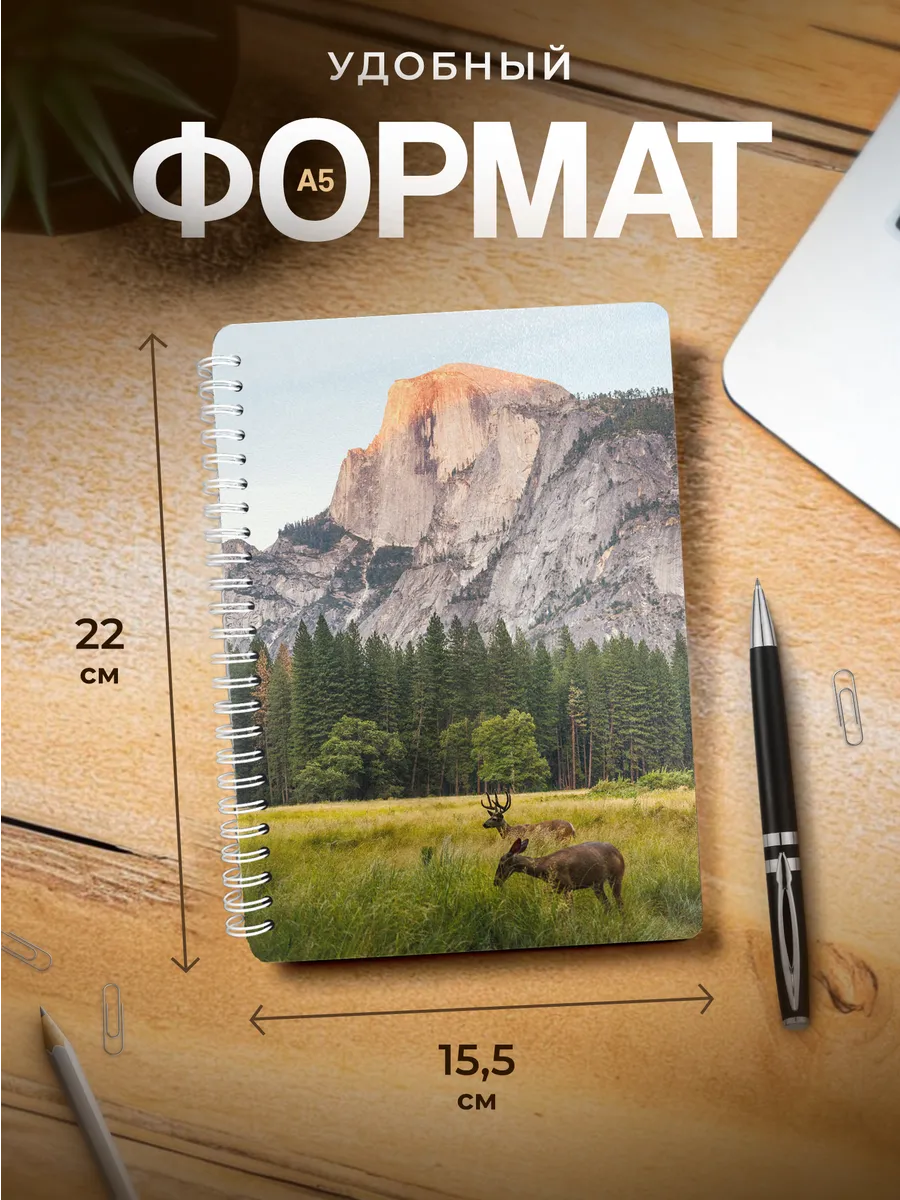 Изображение товара 3 из 4