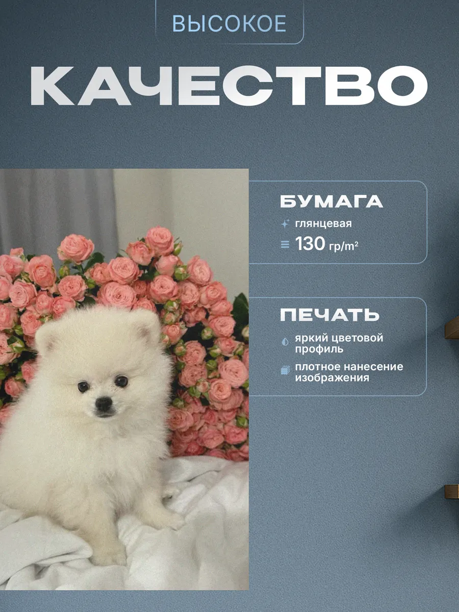 Изображение товара 3 из 4