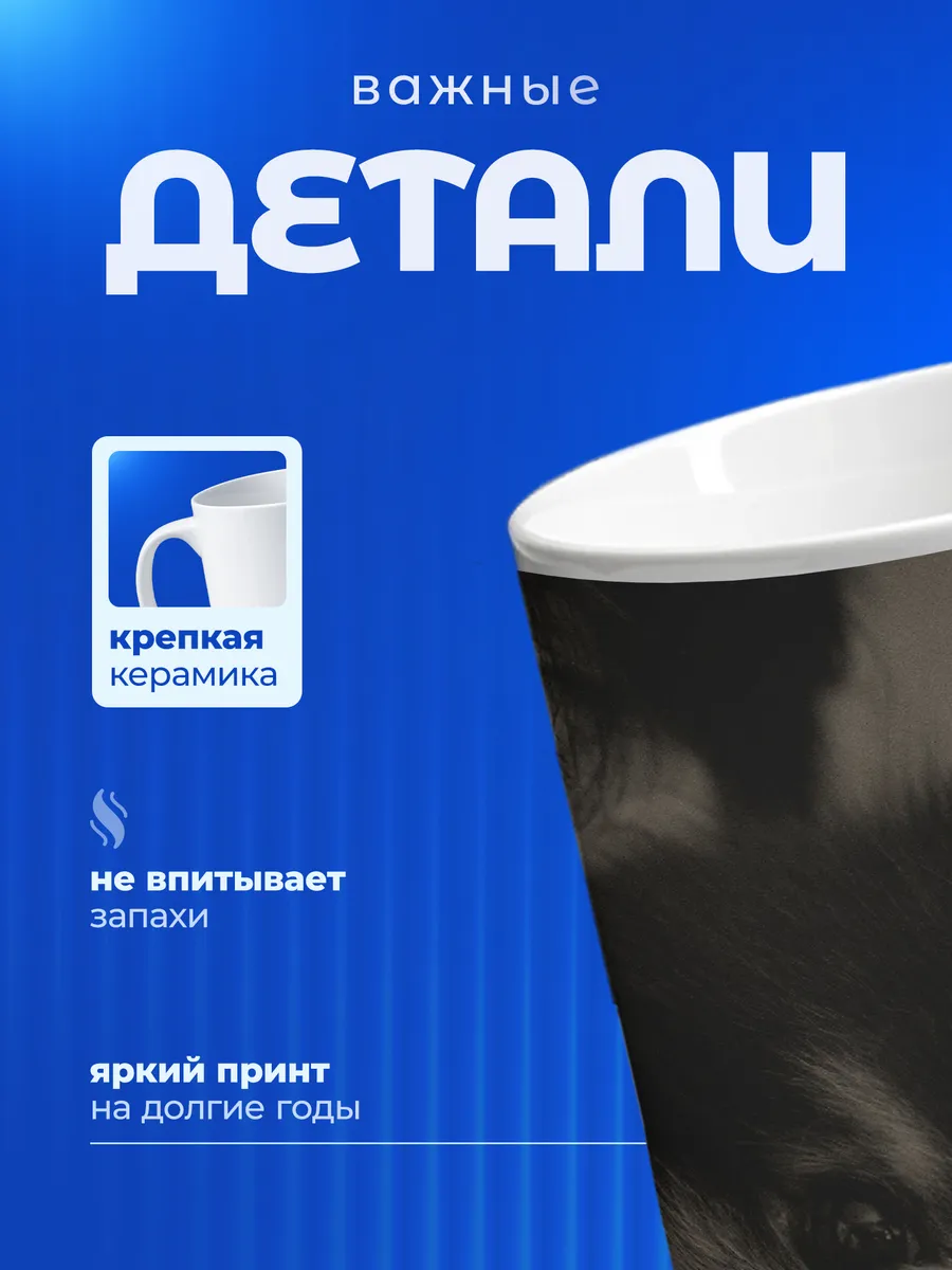 Изображение товара 3 из 6