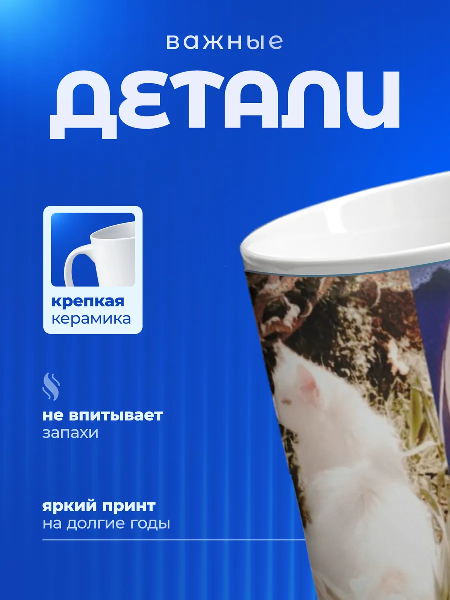 Изображение товара 3 из 6