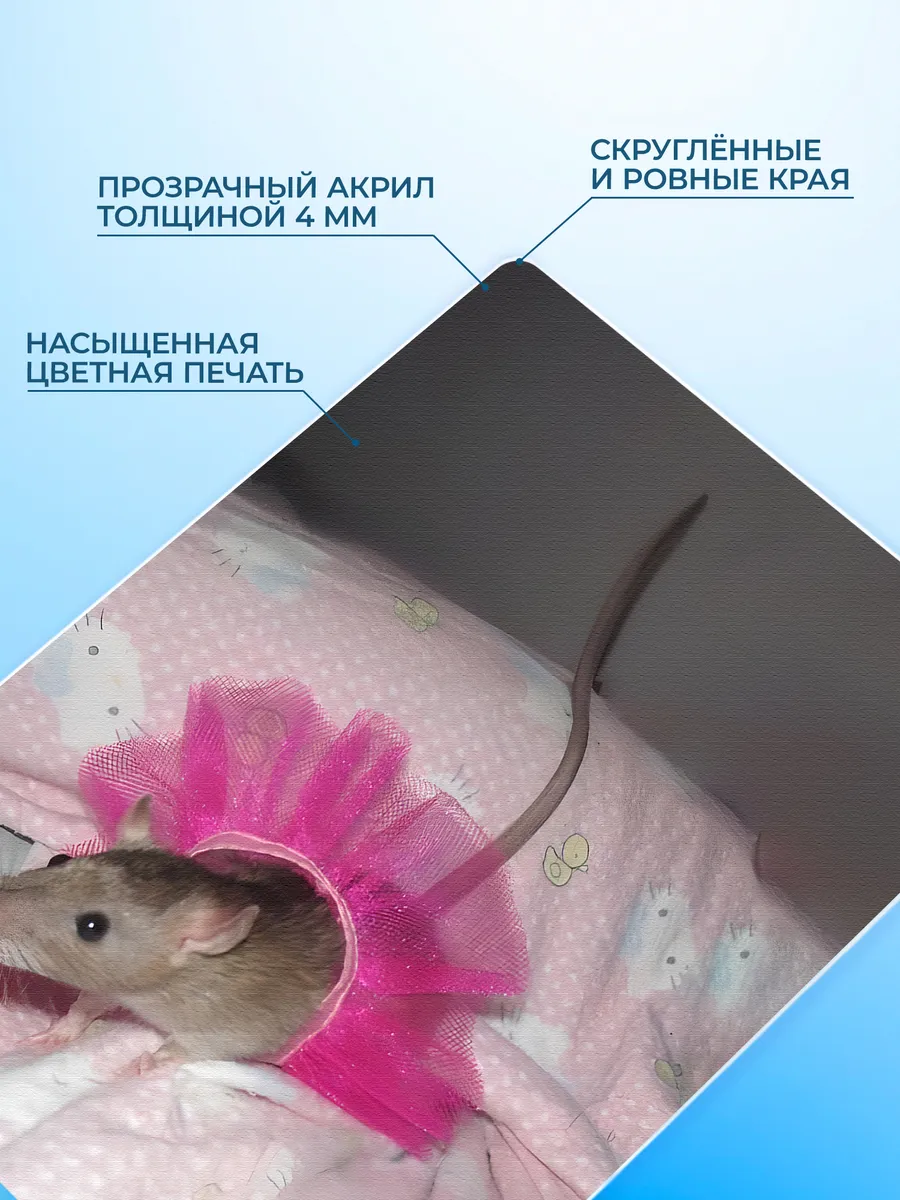 Изображение товара 3 из 4