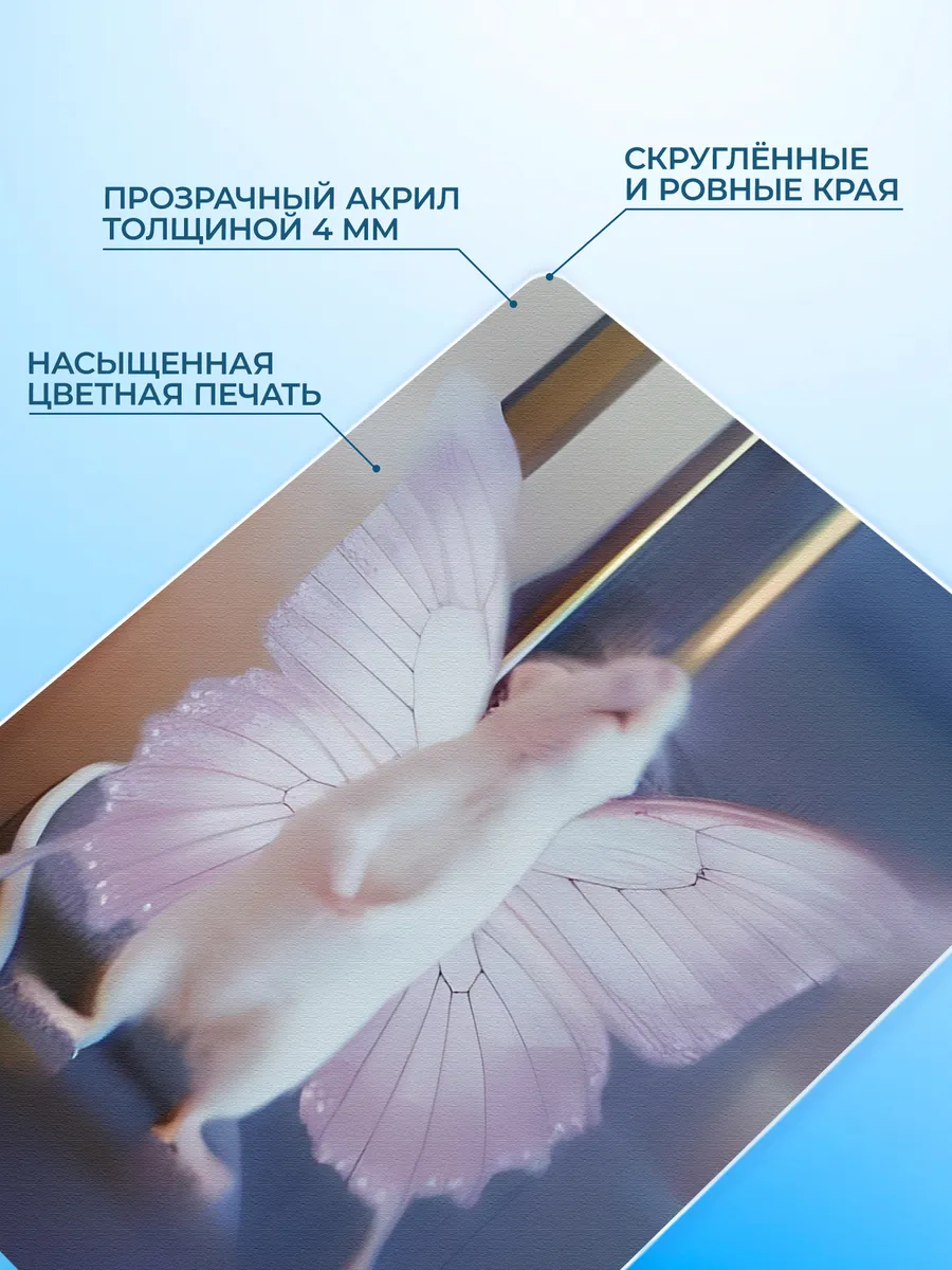 Изображение товара 3 из 4