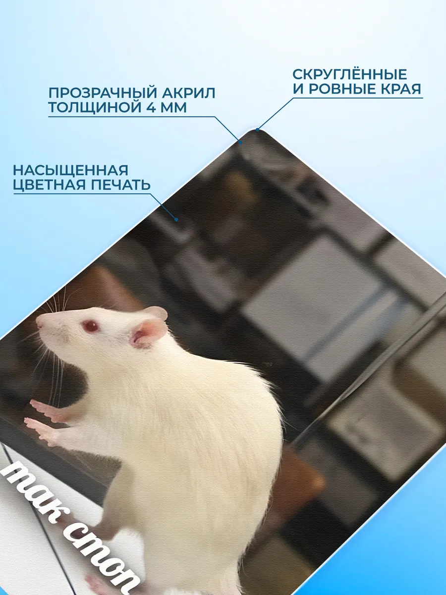 Изображение товара 3 из 4