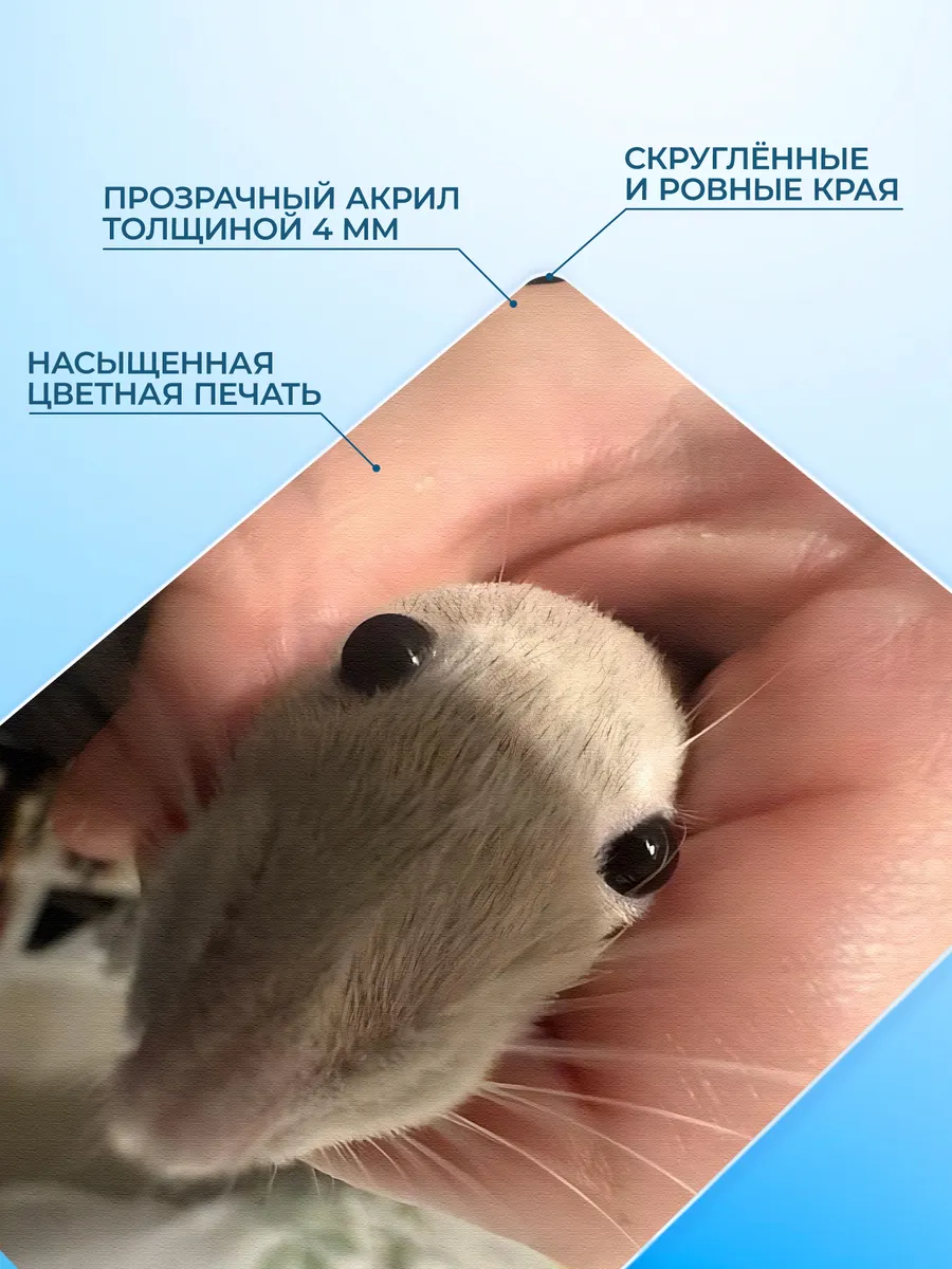 Изображение товара 3 из 4