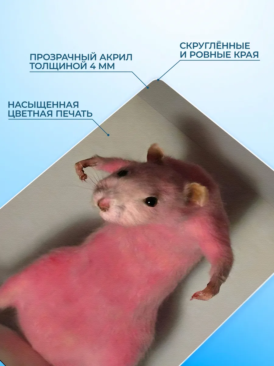 Изображение товара 3 из 4