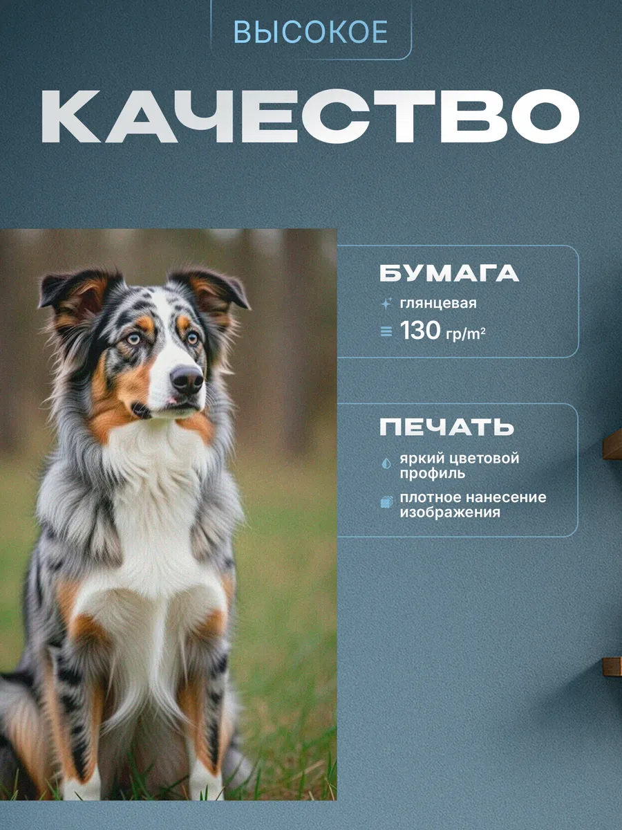 Изображение товара 3 из 4