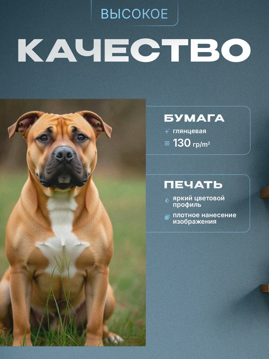 Изображение товара 3 из 4