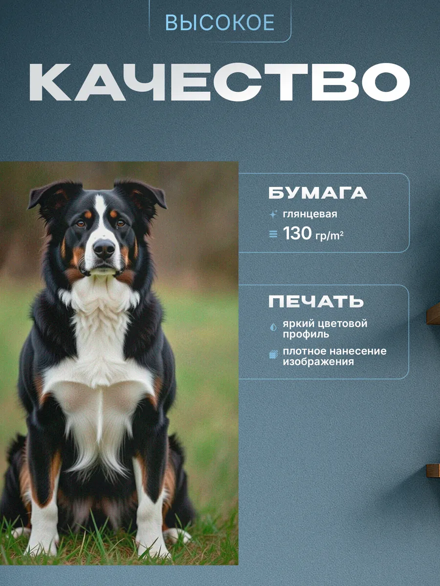 Изображение товара 3 из 4
