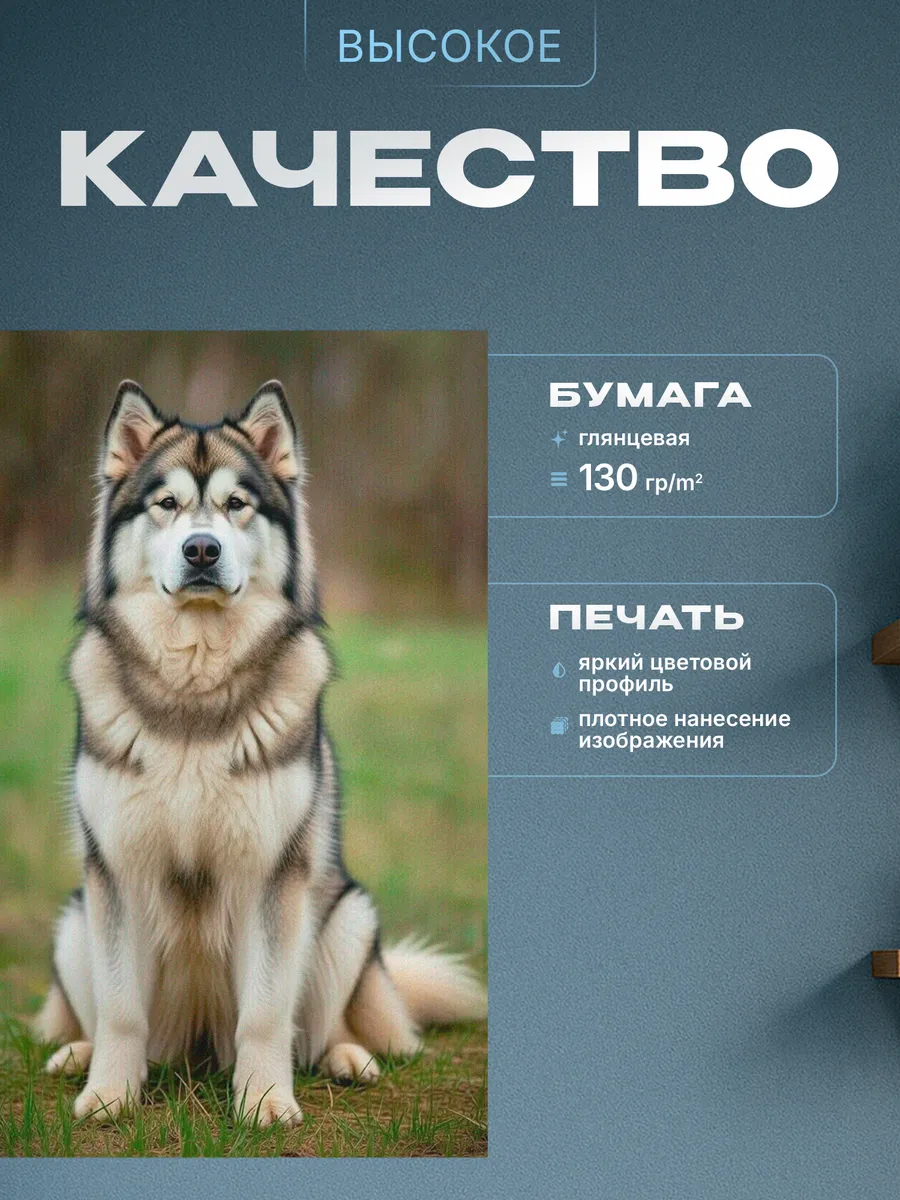 Изображение товара 3 из 4