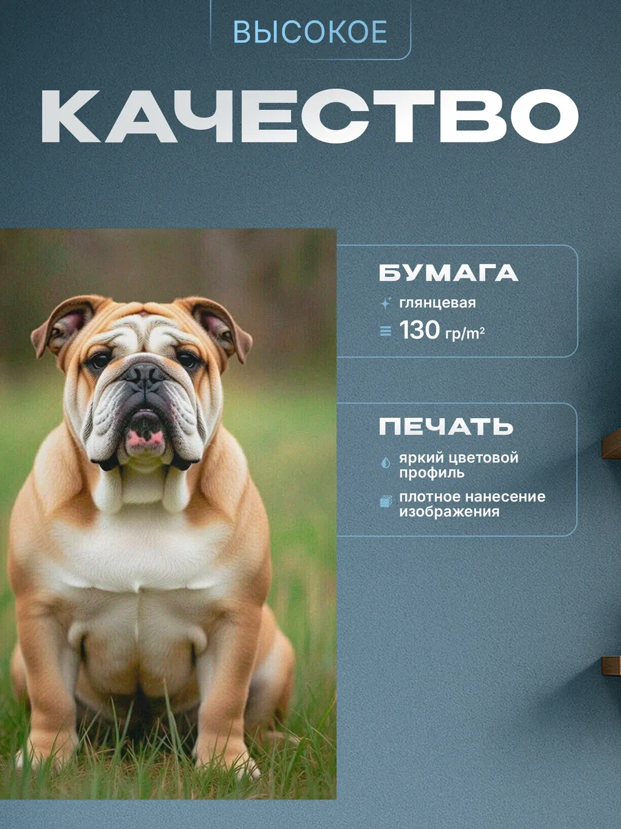 Изображение товара 3 из 4