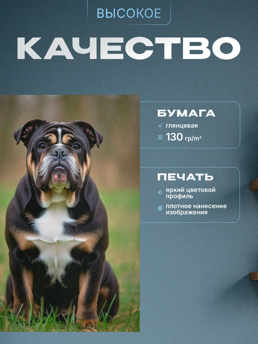 Изображение товара 3 из 4