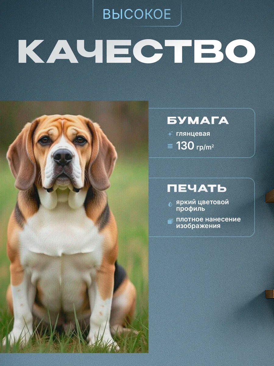 Изображение товара 3 из 4