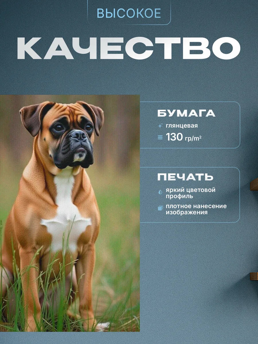 Изображение товара 3 из 4