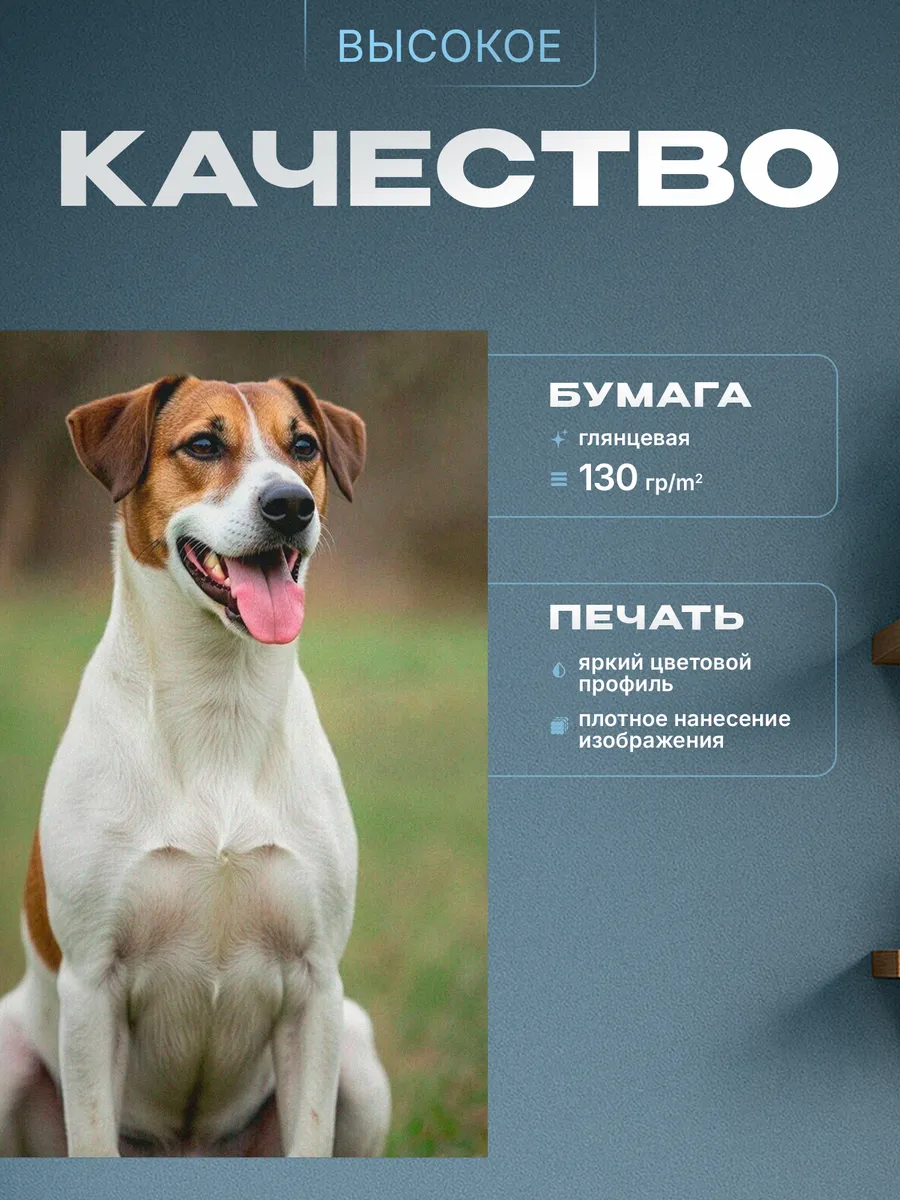 Изображение товара 3 из 4