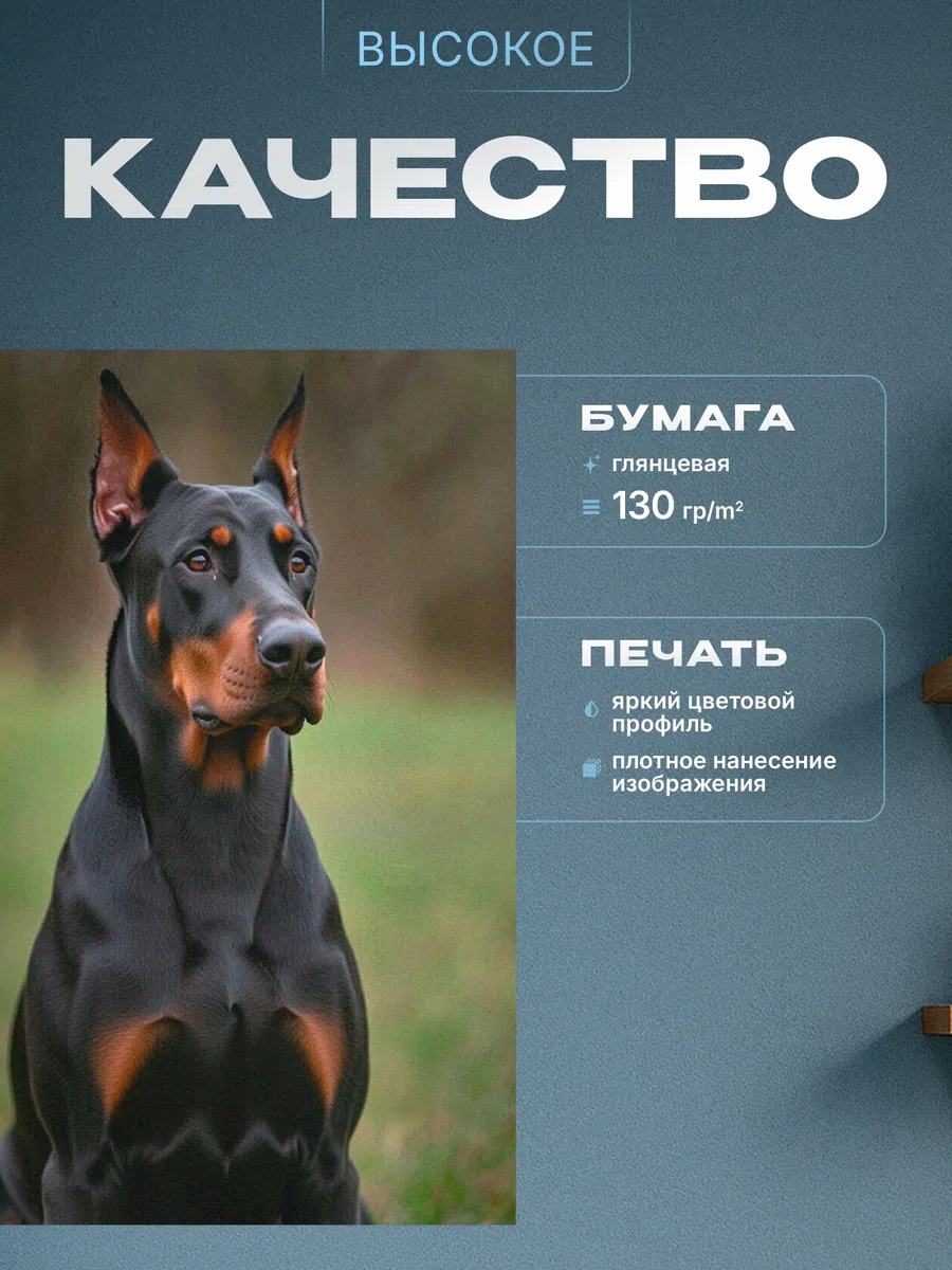 Изображение товара 3 из 4