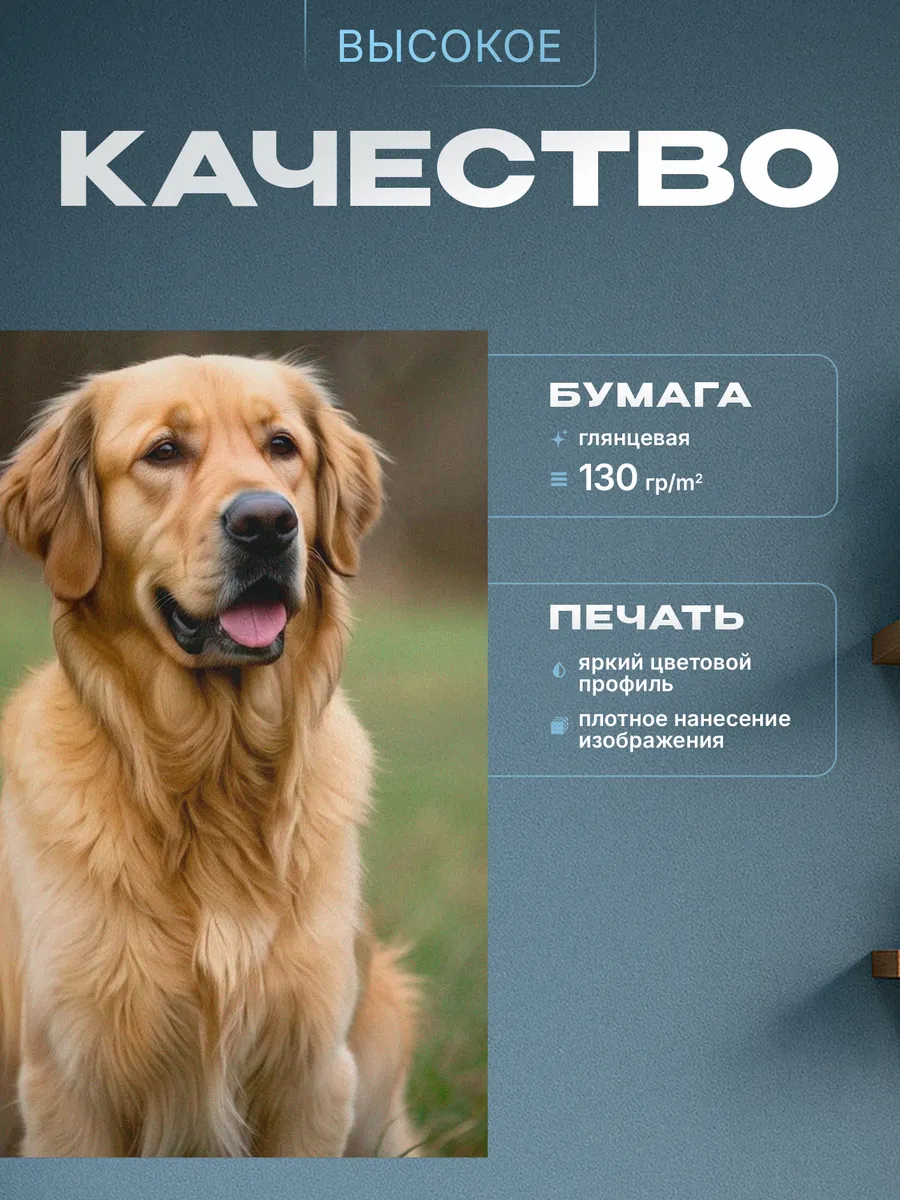 Изображение товара 3 из 4