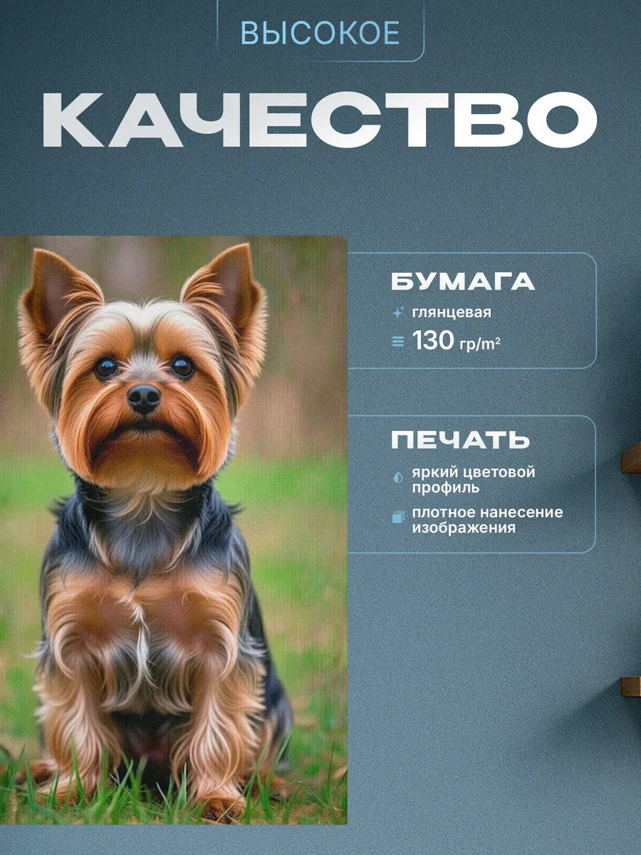 Изображение товара 3 из 4