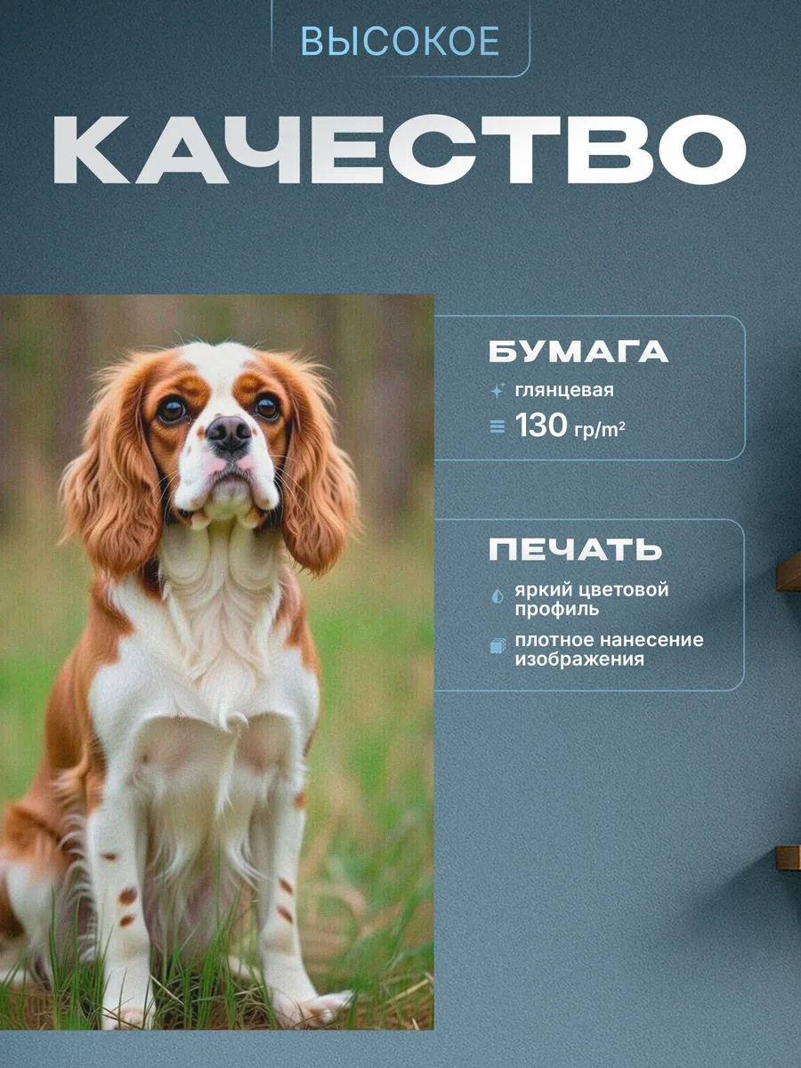 Изображение товара 3 из 4