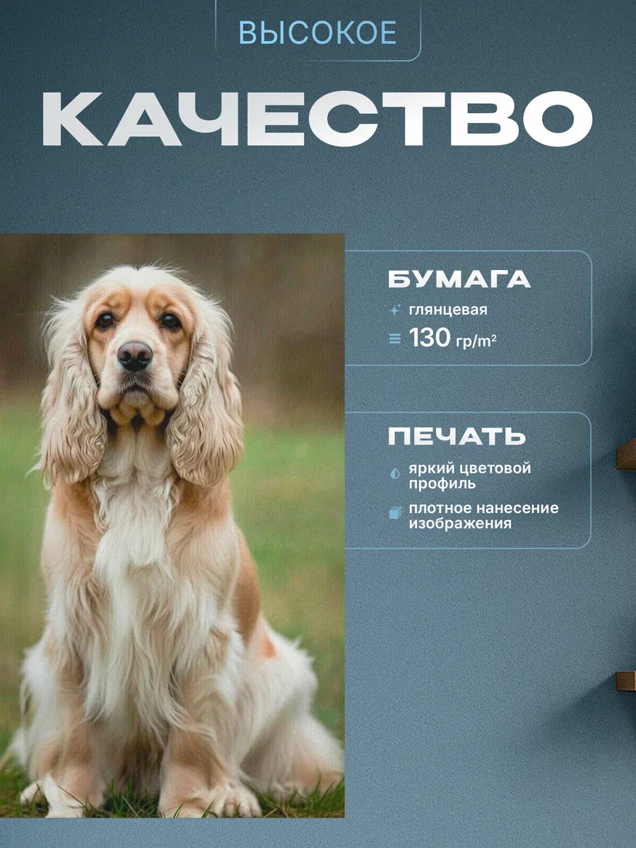 Изображение товара 3 из 4