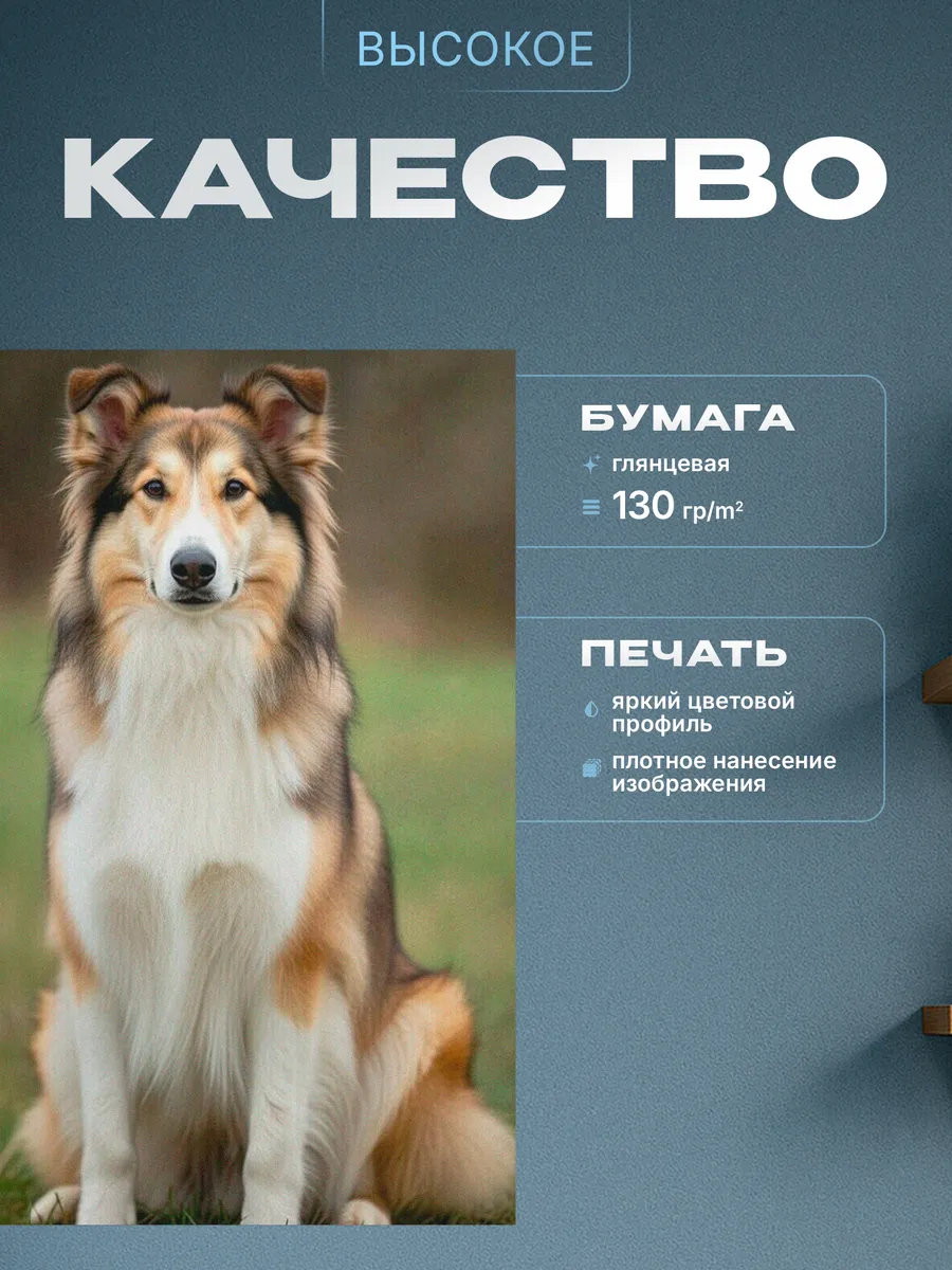 Изображение товара 3 из 4