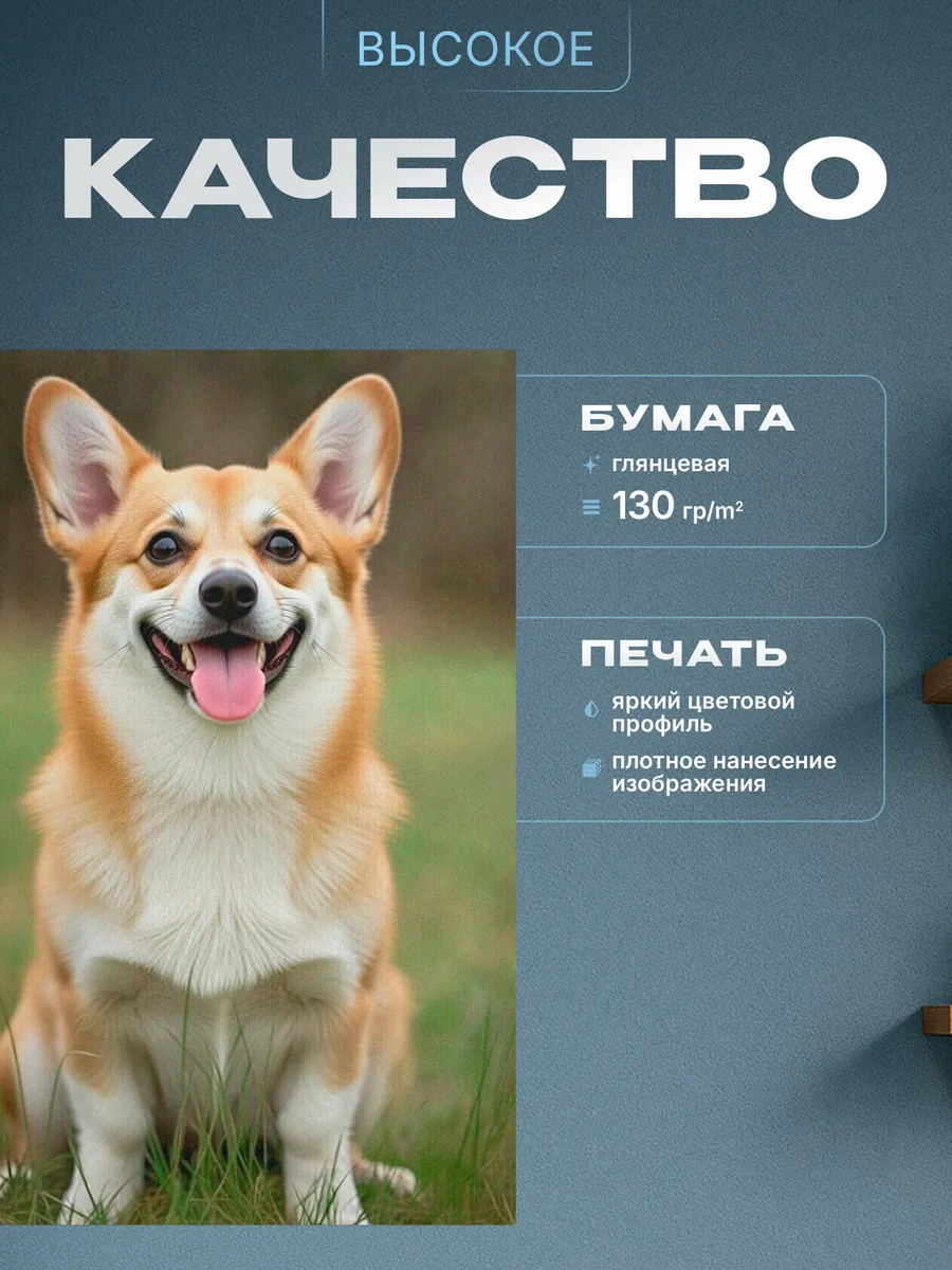 Изображение товара 3 из 4