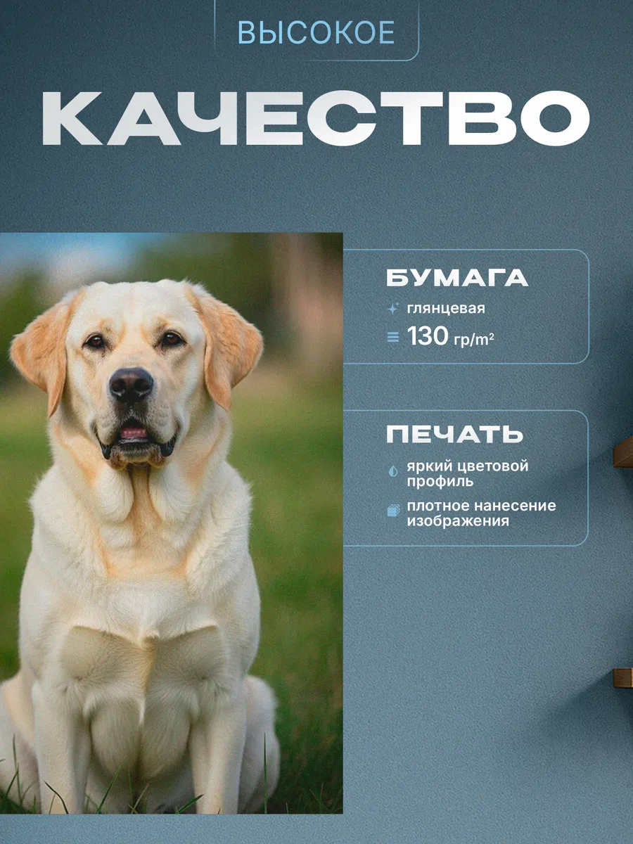 Изображение товара 3 из 4