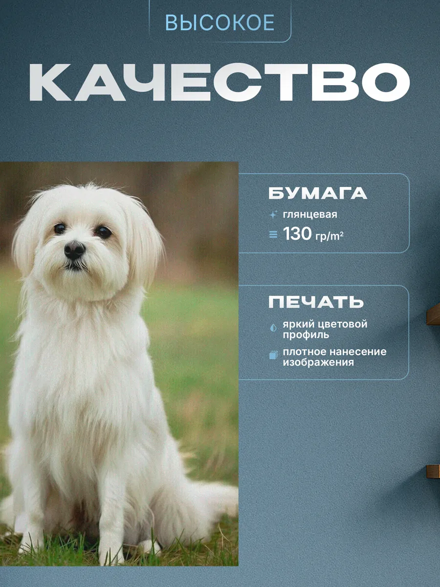 Изображение товара 3 из 4