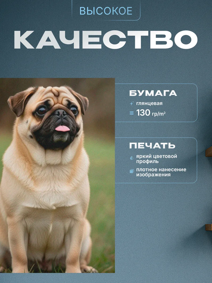 Изображение товара 3 из 4