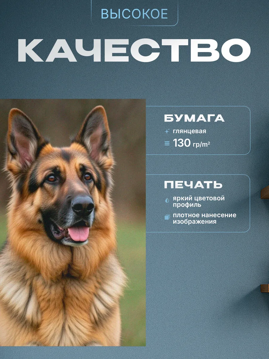 Изображение товара 3 из 4